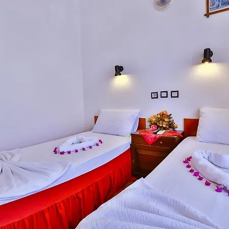 Ani Pension Guest house 2*