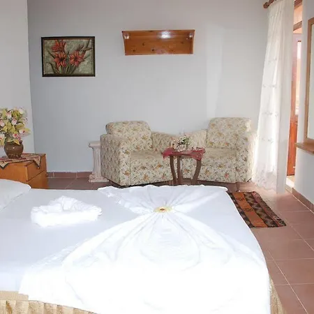 Guest house Ani Pension 2*