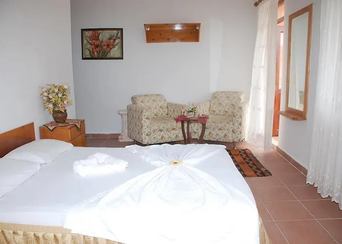 Affittacamere Ani Pension 2*